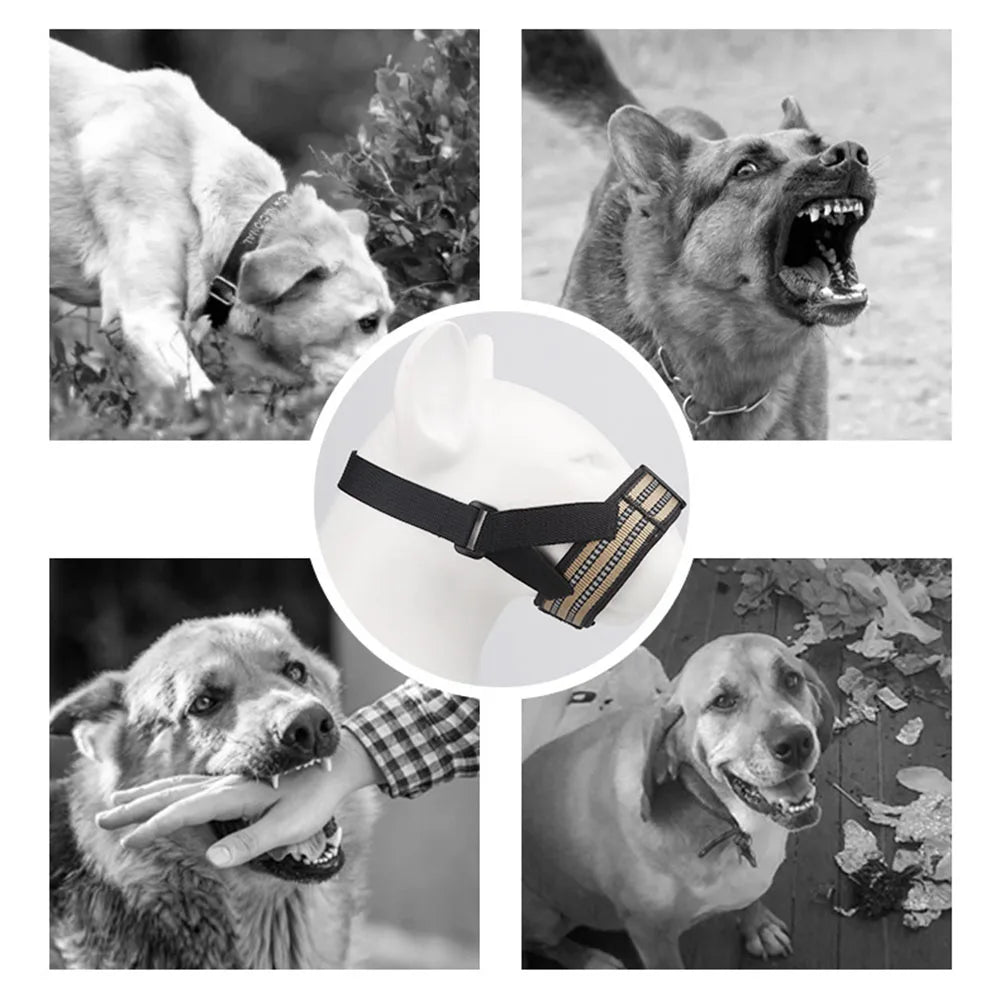 Quick Release Dog Muzzle | Reflective Qualities