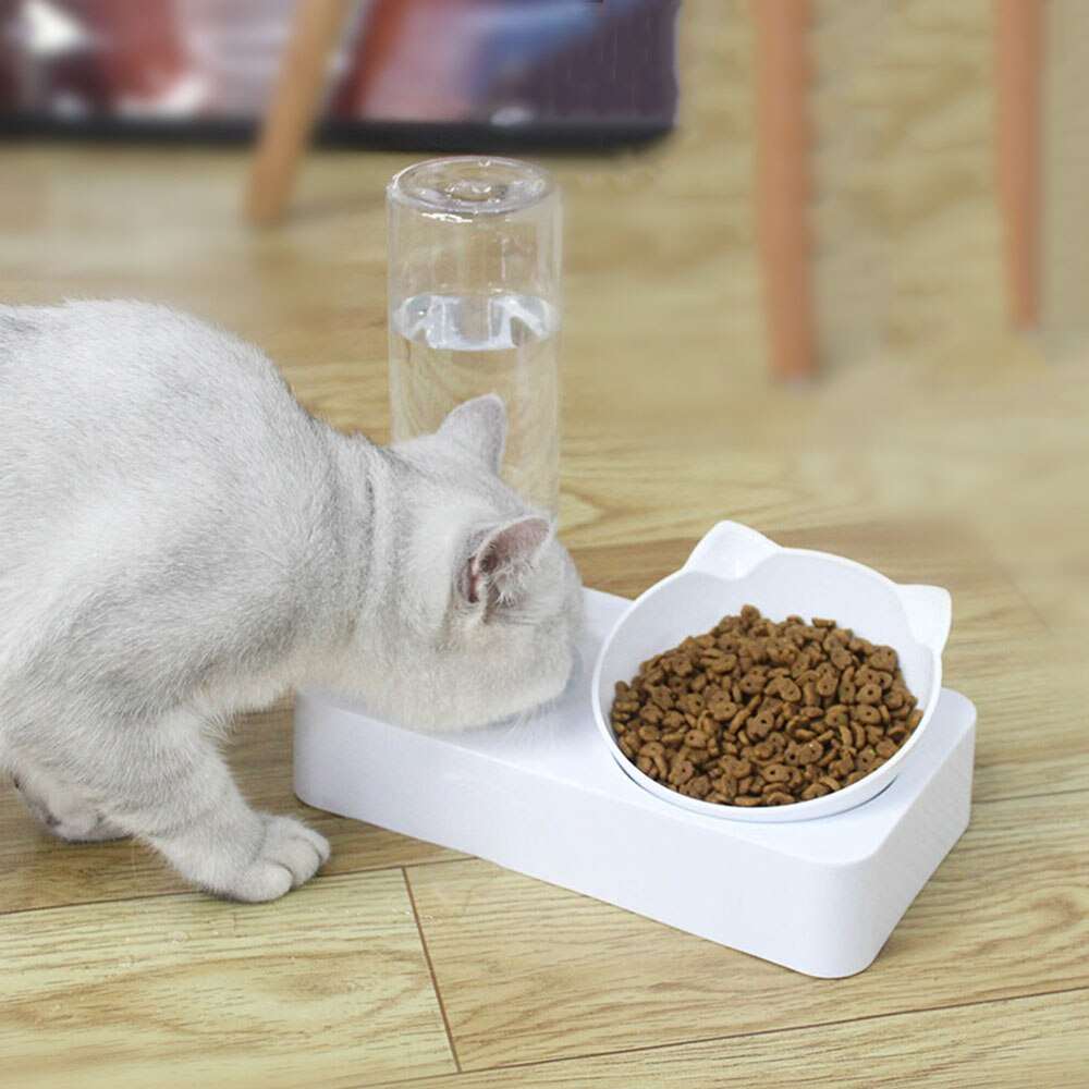 Automatic Cat Food Bowl with Water Dispenser | Raised Stand Dual Feeder for Pet Dog and Cat
