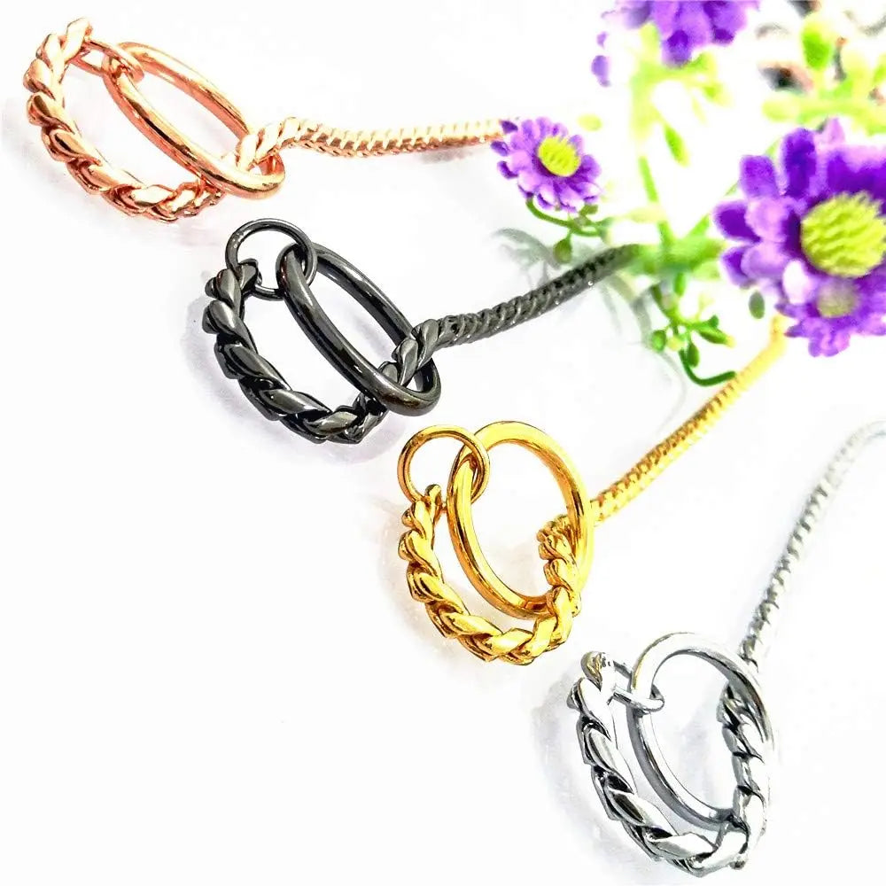 Metal Chain Dog Show Collar | Adjustable