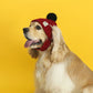 Knitted Hat with Plush Ball