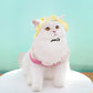 Small Dog/Cat Cowboy Hat with Ear Holes | Multiple Colours Available