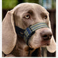 Quick Release Dog Muzzle | Reflective Qualities