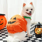 Creative Dog Pumpkin Costume