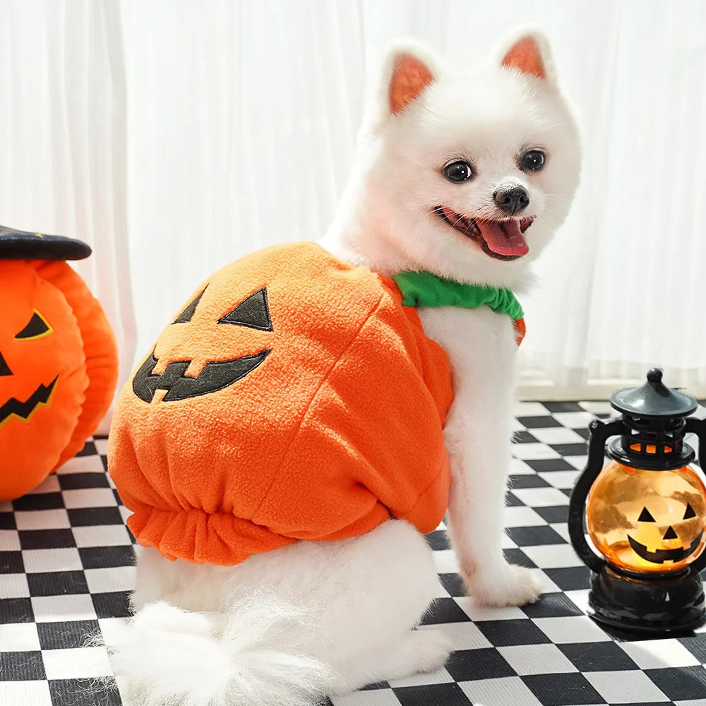Creative Dog Pumpkin Costume