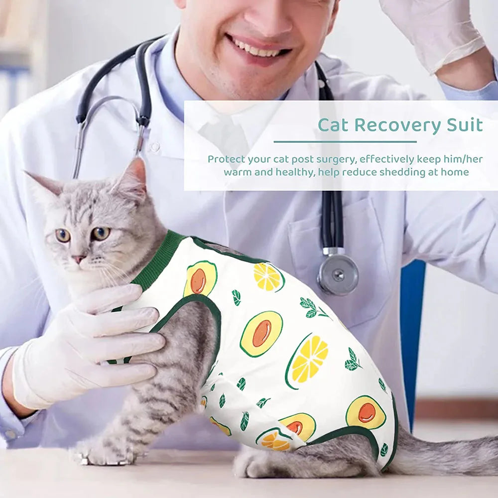 Cat Recovery Suit | E-Collar Alternative