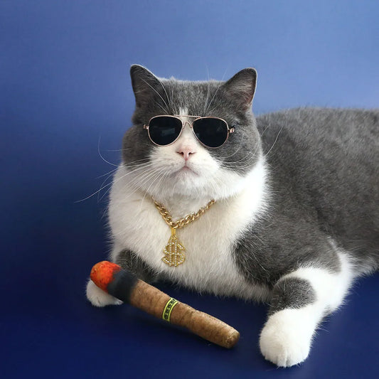 Cat & Dog Princess Necklace | Dollar Sign