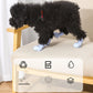 Rainshoe Pet Boots | Waterproof