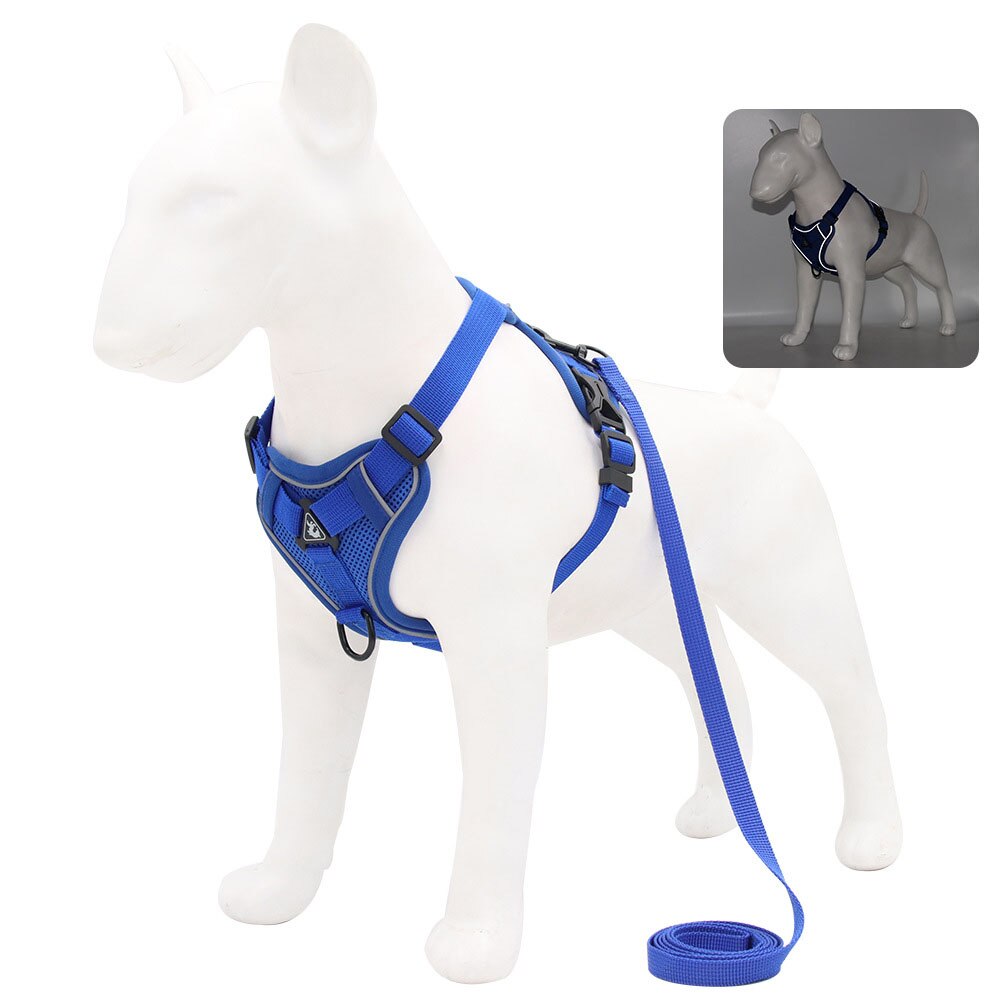 Adjustable Harness with Leash | Soft and Breathable Vest for Dogs and Cats | Walking Supplies and Accessories
