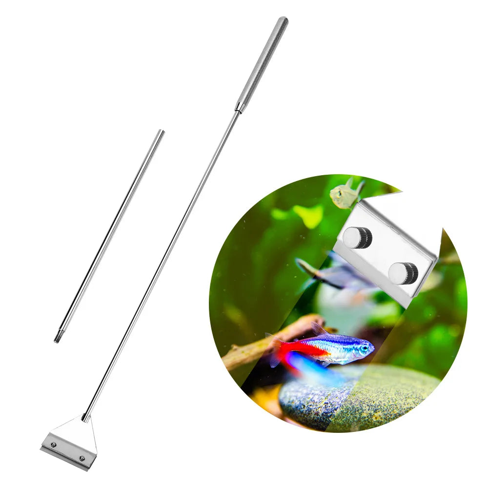 Stainless Steel Algae Scraper for Aquariums | Dual-Purpose Fish Tank Glass Cleaner and Planting Tool