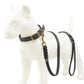 Soft Real Leather Dog Leash | Braided Design