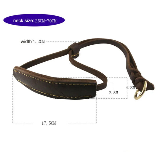 Leather Martingale Dog Collar | Adjustable & Soft