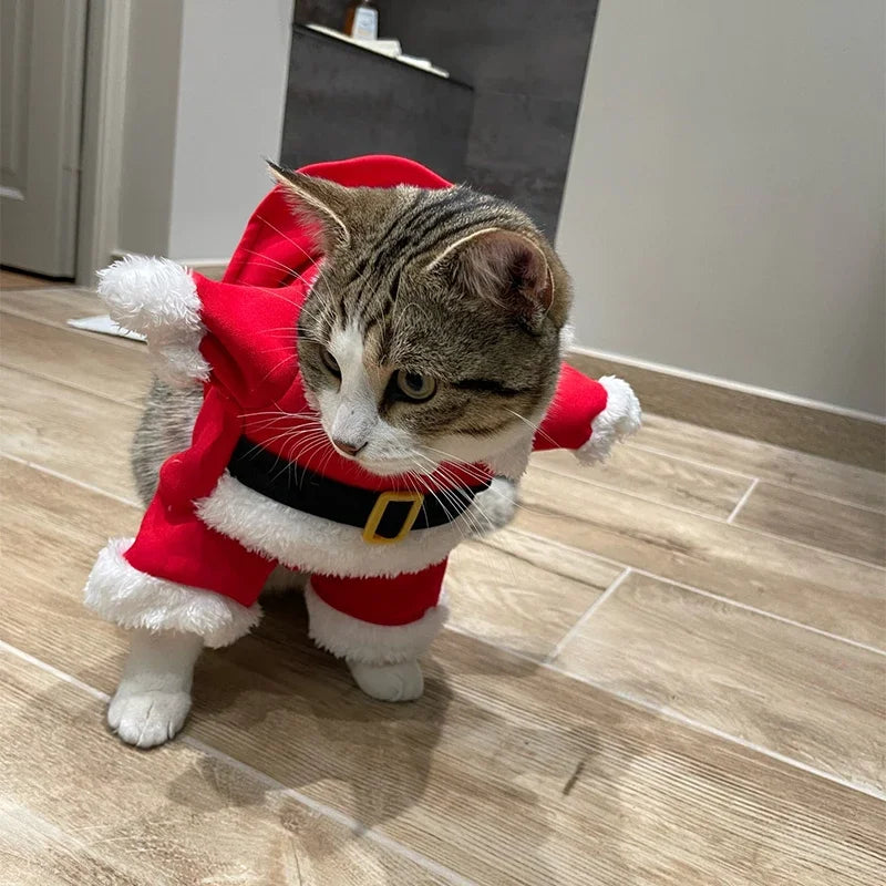 Dog Santa Claus Outfit | XS - XL Available