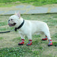 Waterproof Dog Shoes with Reflective Straps