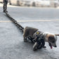 Huge Plastic Simulated Iron Dog Chain Leash