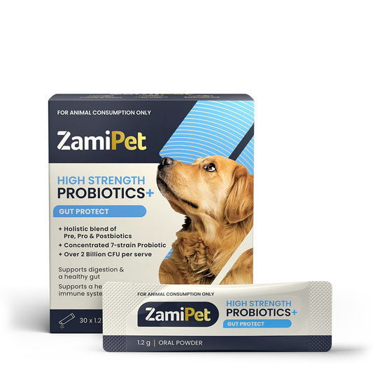ZamiPet High Strength Probiotics+ For Dogs