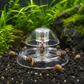Clear aquarium snail trap baited on gravel with several snails around the collection base
