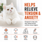 Cat calming collar infographic showing common situations such as travel, storms and visitors