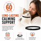 Cat wearing a calming collar beside information about support for up to 60 days