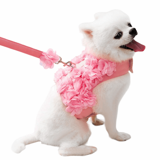 Adjustable Luxury Floral Dog Harness Set | No Pull, Breathable, Cute Puppy Safety Vest