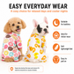Two small dogs wearing lightweight cotton pyjamas for bedtime and indoor wear