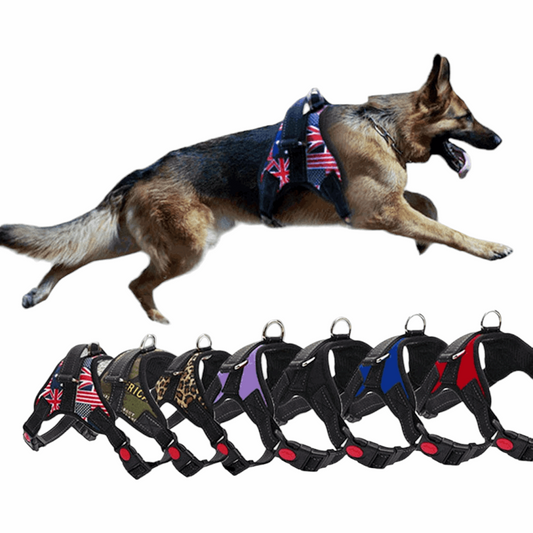 Adjustable Reflective Pet Harness for Small and Large Dogs | No Pull Dog Vest | Breathable Pet Supplies
