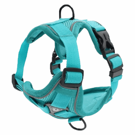Adjustable Dog Harness with Leash | Soft and Breathable Pet Vest for Small Dogs and Cats | Walking Supplies and Accessories