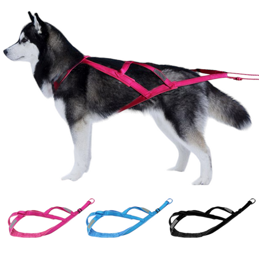 Large Dog Weight Pulling Harness | Back Training for Working, Exercise and More with Sled Capability
