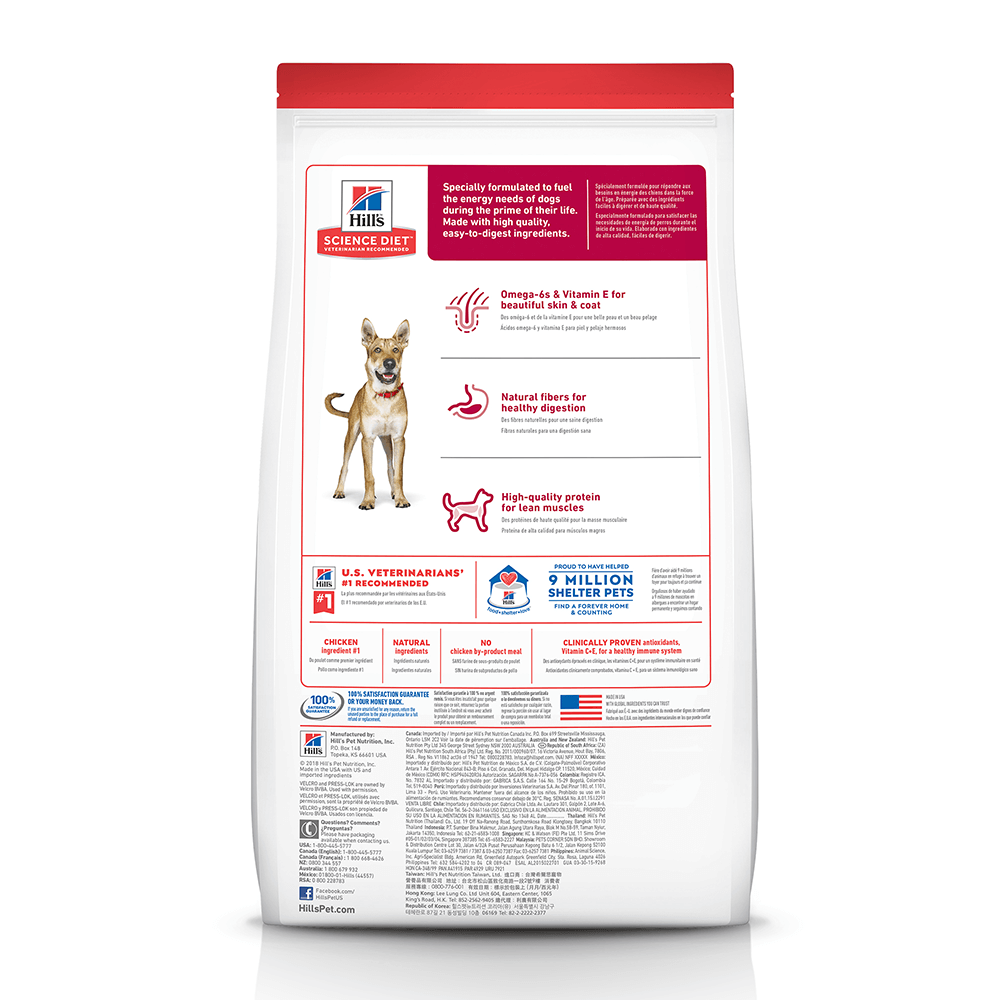 Hill's Science Diet Adult Dog 1-6 Food