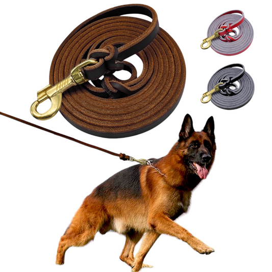 Leather Dog Leash | 1.5m & 2.5m | Walking & Training Lead for Medium to Large Dogs