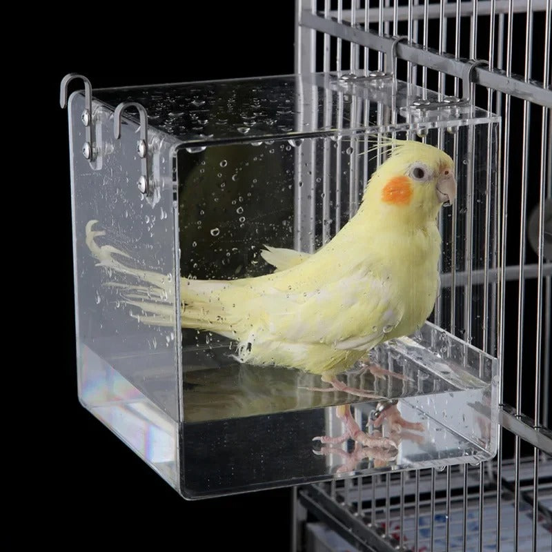 Clip-On Bird Cage Bath or Feeder | Transparent & Anti-Spill