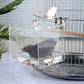 Clip-On Bird Cage Bath or Feeder | Transparent & Anti-Spill