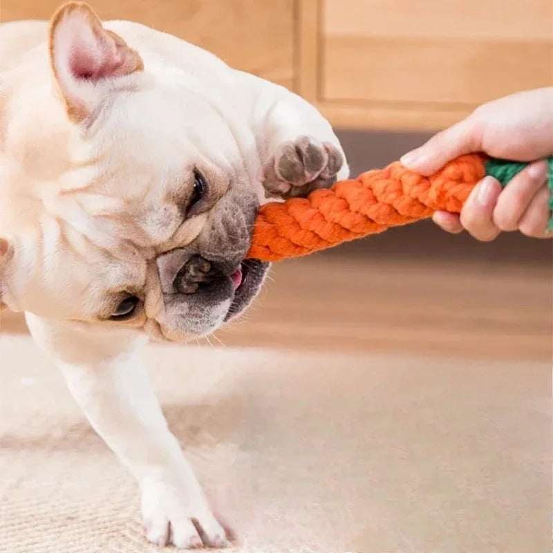 Carrot Rope Dog Chew Toy | Natural Cotton & Washable