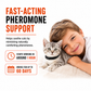 Cat calming collar infographic explaining pheromone-based support and duration