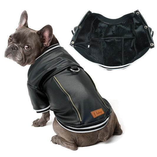 Winter Leather Coat | Stylish Pet Clothes for Small, Medium & Large Dogs