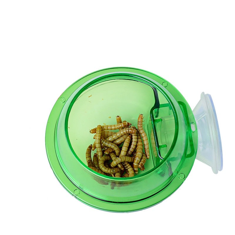 Versatile Reptile Feeding Bowl | Easy-Adjust Suction Cup for Convenience