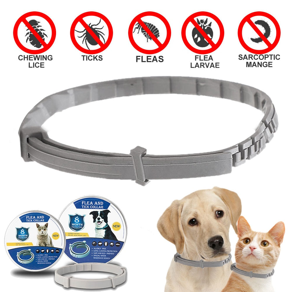 Repellent Collar | Anti-Parasite Collar for Pets | Available in Multiple Colours and Sizes