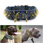 Heavy-Duty Dog Collar | Heavy-Duty & Comfortable Collar for Bite Prevention