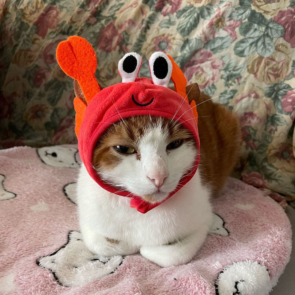 Frog, Crab & Lobster Hat for Cats and Dogs | Small Dog Accessories