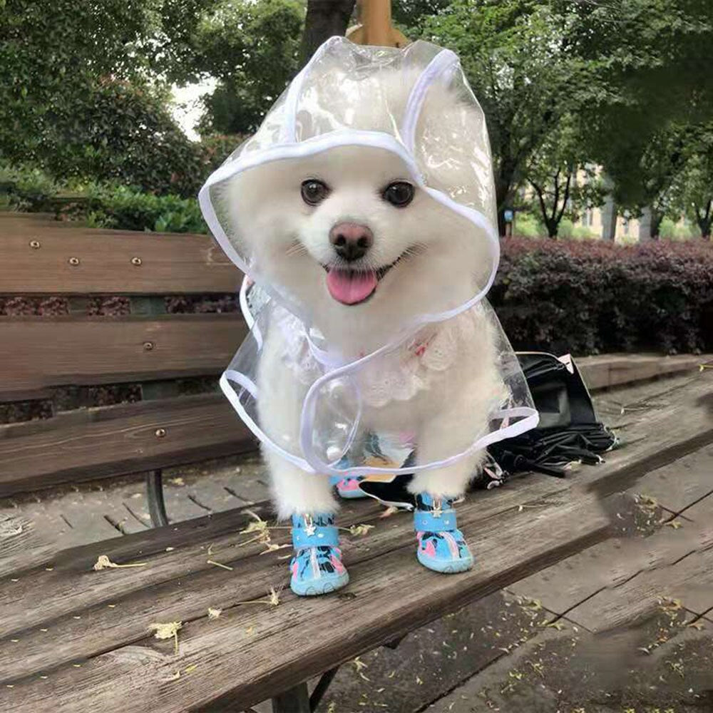 Transparent dog outlet raincoat